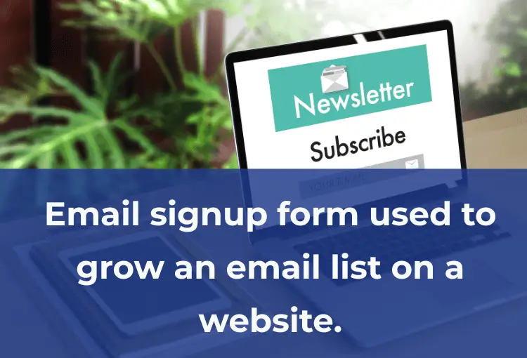 Simple Brevo email signup form used to grow an email list on a website.
